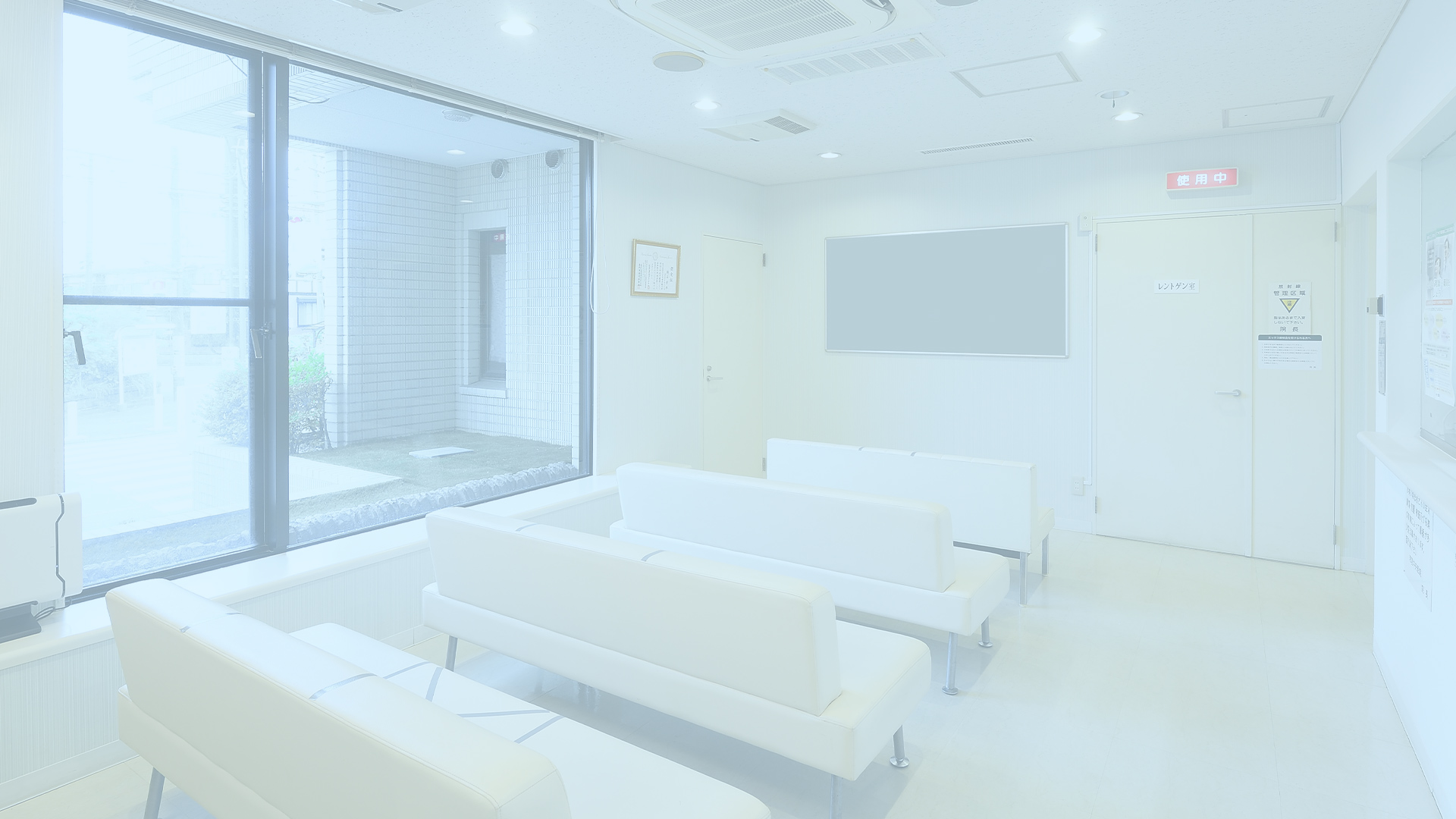 新着情報